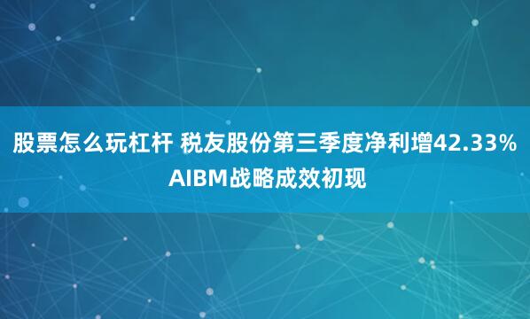 股票怎么玩杠杆 税友股份第三季度净利增42.33% AIBM战略成效初现