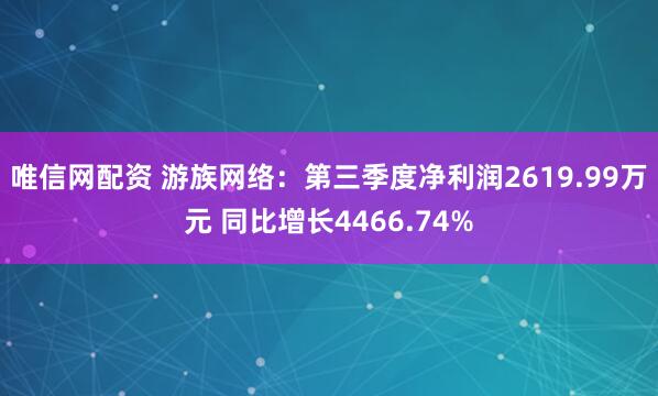 唯信网配资 游族网络：第三季度净利润2619.99万元 同比增长4466.74%